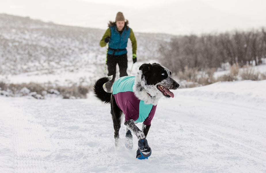 Amazon.com : Ruffwear, Polar Trex Dog Boots, Ultimate Winter Paw